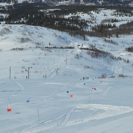 Blasjoens Stugby Stora Blasjon Esterno foto