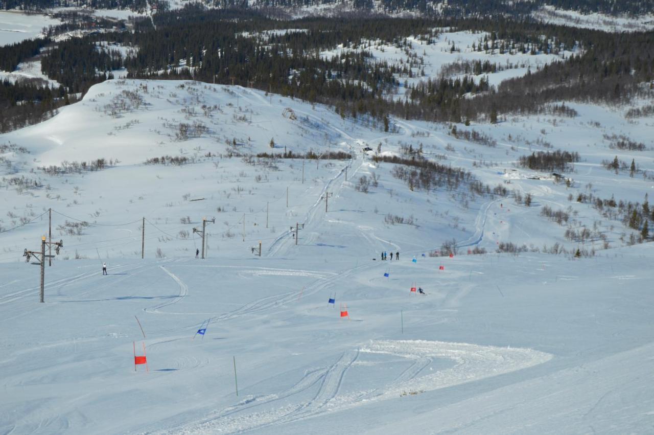 Blasjoens Stugby Stora Blasjon Esterno foto